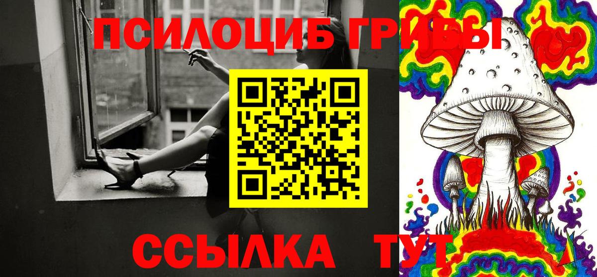 Борзя  Псилоцибиновые грибы Psilocybe  Галлюциногенные грибы прущие грибы  Вход с VPN 